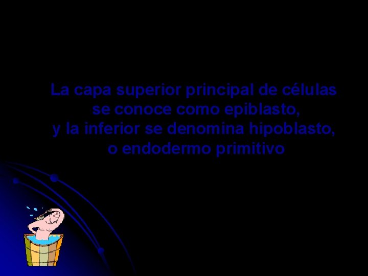 La capa superior principal de células se conoce como epiblasto, y la inferior se