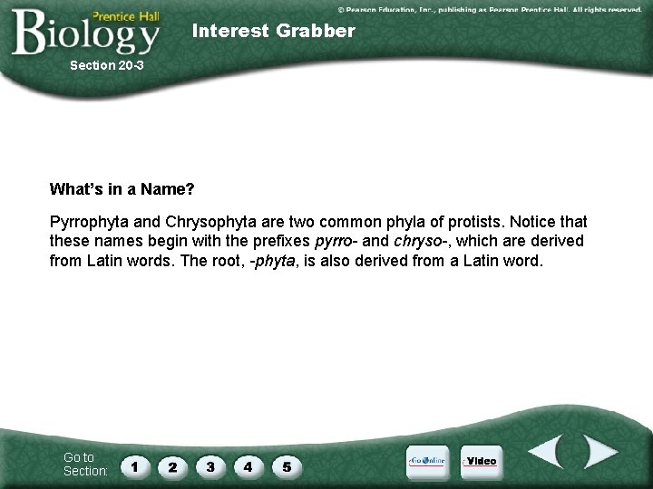 Interest Grabber Section 20 -3 What’s in a Name? Pyrrophyta and Chrysophyta are two