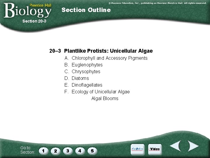 Section Outline Section 20 -3 20– 3 Plantlike Protists: Unicellular Algae A. B. C.