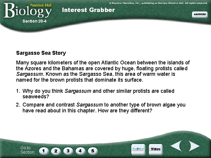 Interest Grabber Section 20 -4 Sargasso Sea Story Many square kilometers of the open