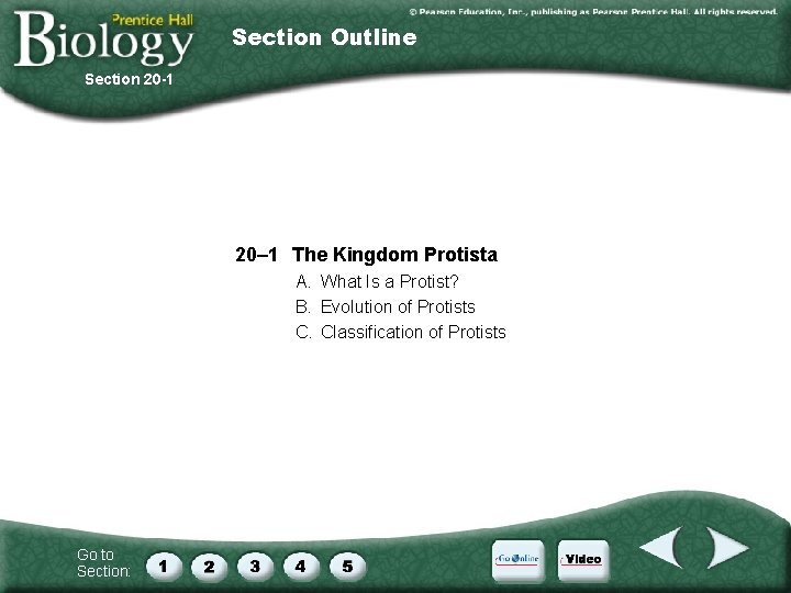 Section Outline Section 20 -1 20– 1 The Kingdom Protista A. What Is a