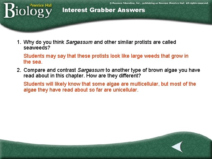 Interest Grabber Answers 1. Why do you think Sargassum and other similar protists are