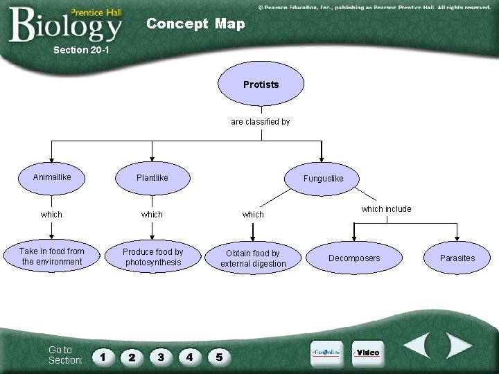 Concept Map Section 20 -1 Protists are classified by Animallike Plantlike which Take in