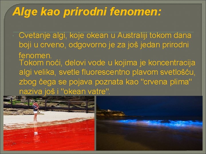 Alge kao prirodni fenomen: Cvetanje algi, koje okean u Australiji tokom dana boji u
