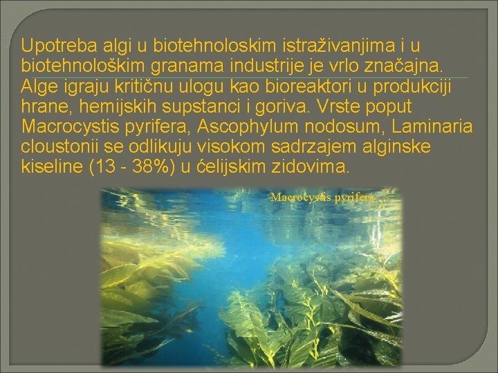  Upotreba algi u biotehnoloskim istraživanjima i u biotehnološkim granama industrije je vrlo značajna.