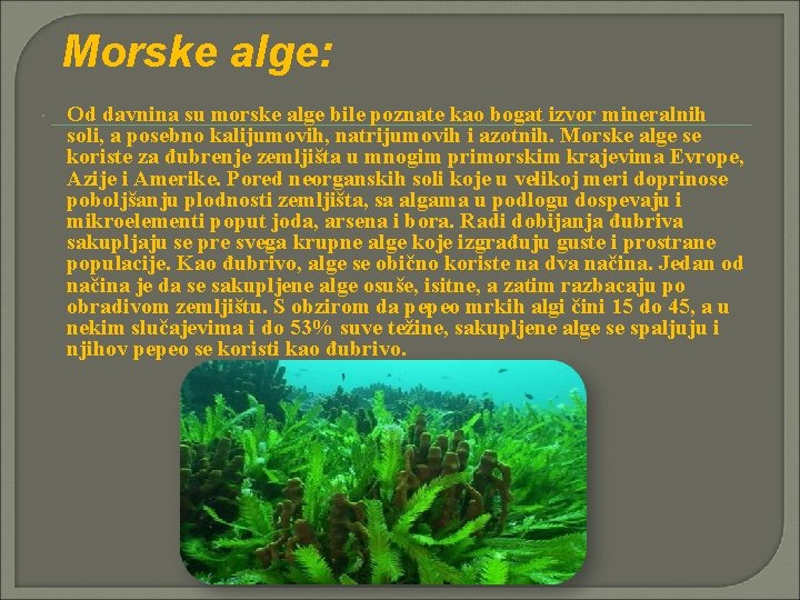 Morske alge: Od davnina su morske alge bile poznate kao bogat izvor mineralnih soli,