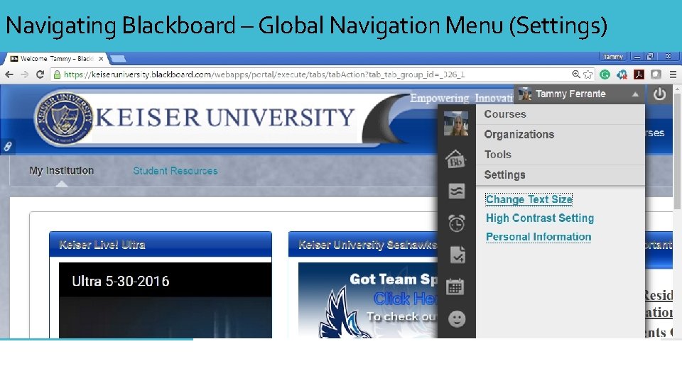 Navigating Blackboard – Global Navigation Menu (Settings) 