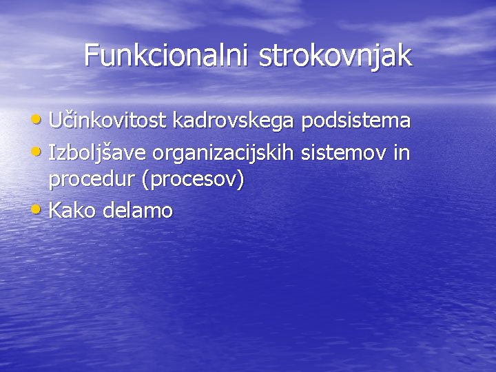 Funkcionalni strokovnjak • Učinkovitost kadrovskega podsistema • Izboljšave organizacijskih sistemov in procedur (procesov) •