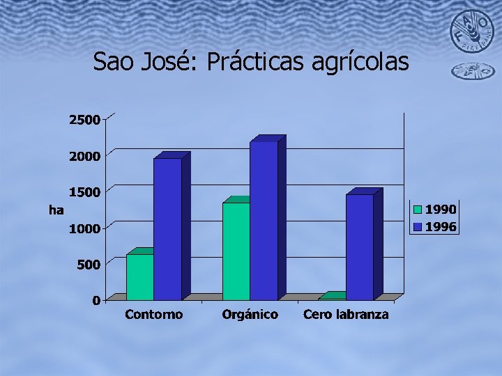 Sao José: Prácticas agrícolas 