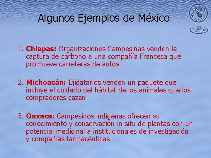 Algunos Ejemplos de México 1. Chiapas: Organizaciones Campesinas venden la captura de carbono a