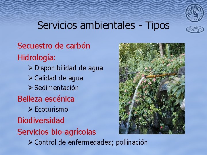 Servicios ambientales - Tipos Secuestro de carbón Hidrología: Ø Disponibilidad de agua Ø Calidad