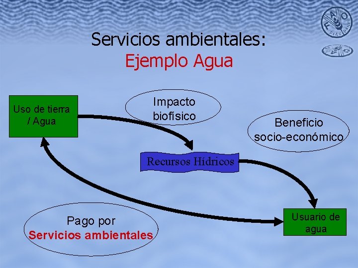Servicios ambientales: Ejemplo Agua Uso de tierra / Agua Impacto biofísico Beneficio socio-económico Recursos