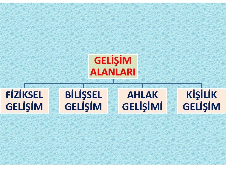 GELİŞİM ALANLARI FİZİKSEL GELİŞİM BİLİŞSEL GELİŞİM AHLAK GELİŞİMİ KİŞİLİK GELİŞİM 