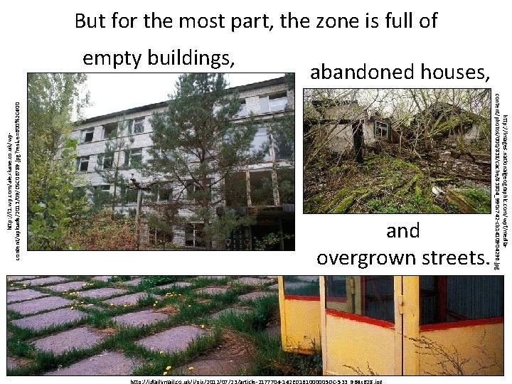 But for the most part, the zone is full of abandoned houses, and overgrown