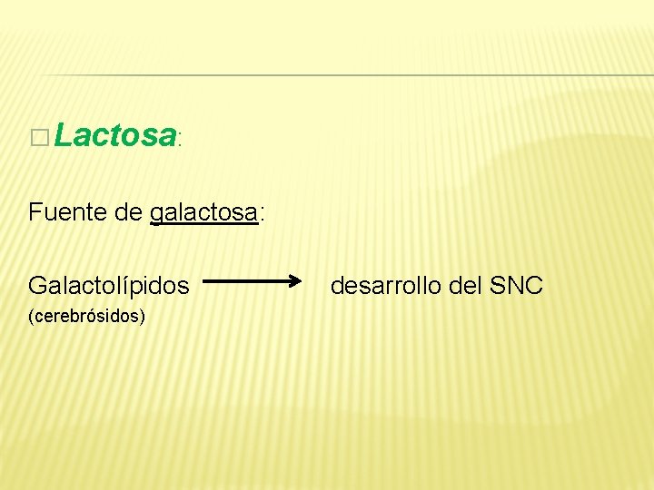 � Lactosa: Fuente de galactosa: Galactolípidos desarrollo del SNC (cerebrósidos) 
