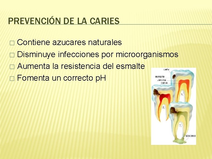 PREVENCIÓN DE LA CARIES Contiene azucares naturales � Disminuye infecciones por microorganismos � Aumenta
