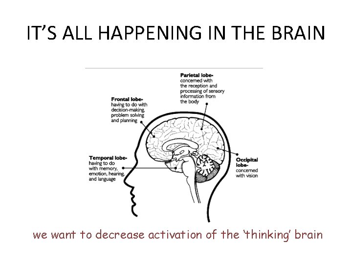 IT’S ALL HAPPENING IN THE BRAIN we want to decrease activation of the ‘thinking’
