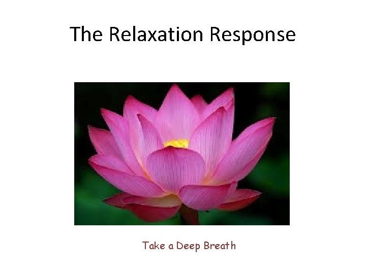 The Relaxation Response Take a Deep Breath 