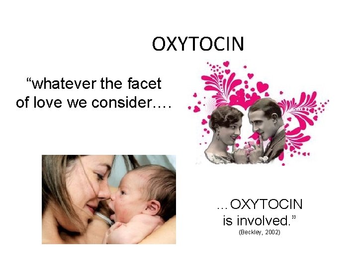 OXYTOCIN “whatever the facet of love we consider…. …OXYTOCIN is involved. ” (Beckley, 2002)