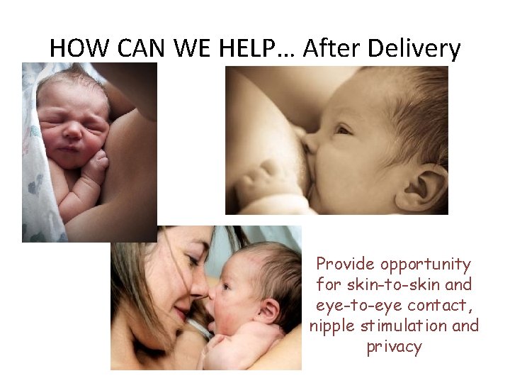HOW CAN WE HELP… After Delivery Provide opportunity for skin-to-skin and eye-to-eye contact, nipple