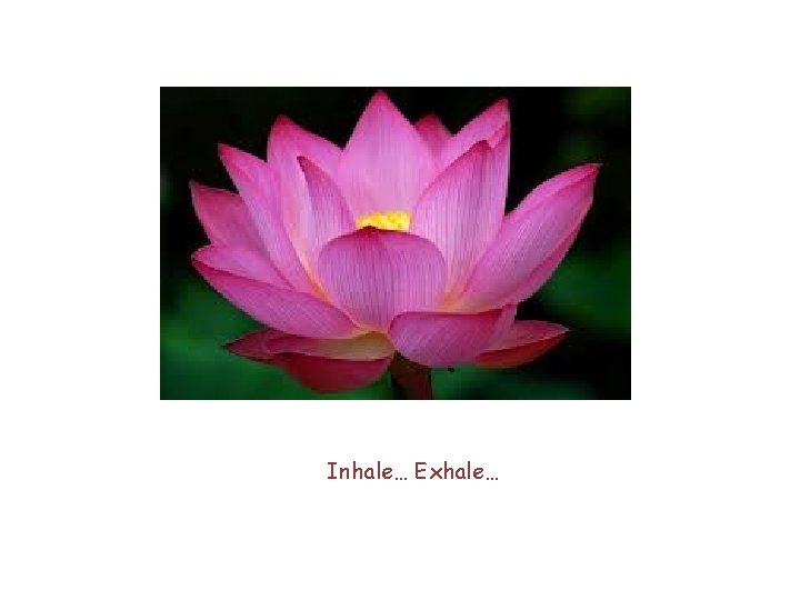 Inhale… Exhale… 
