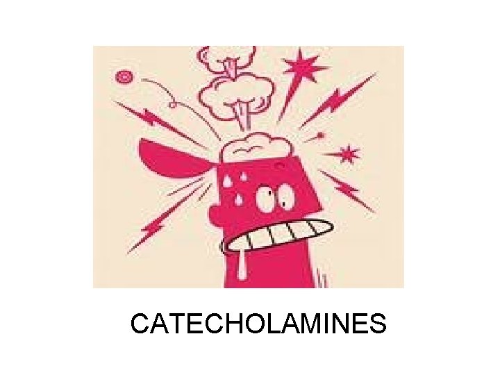 CATECHOLAMINES 