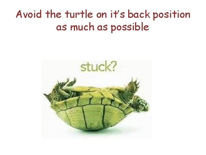 Avoid the turtle on it’s back position as much as possible 