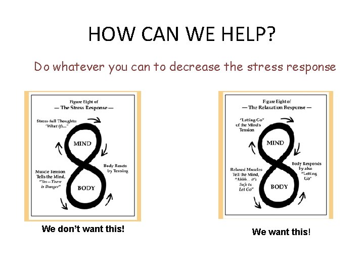 HOW CAN WE HELP? Do whatever you can to decrease the stress response We