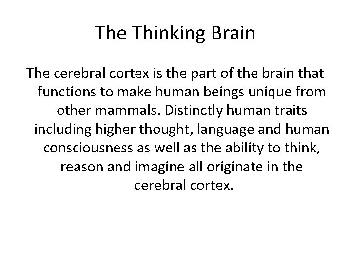 The Thinking Brain The cerebral cortex is the part of the brain that functions