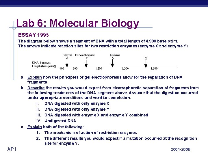 Lab 6: Molecular Biology ESSAY 1995 The diagram below shows a segment of DNA
