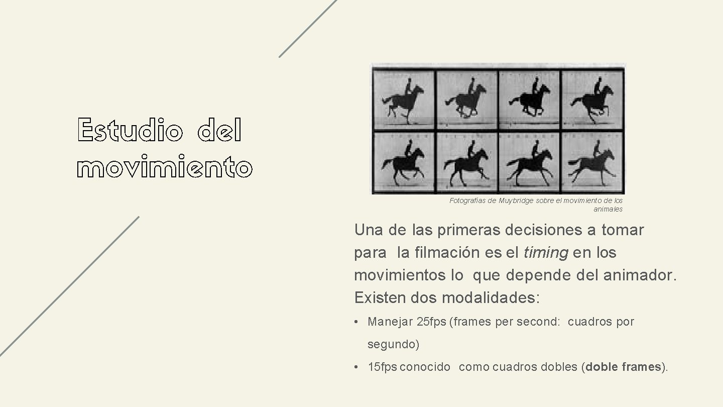 Estudio del movimiento Fotografías de Muybridge sobre el movimiento de los animales Una de