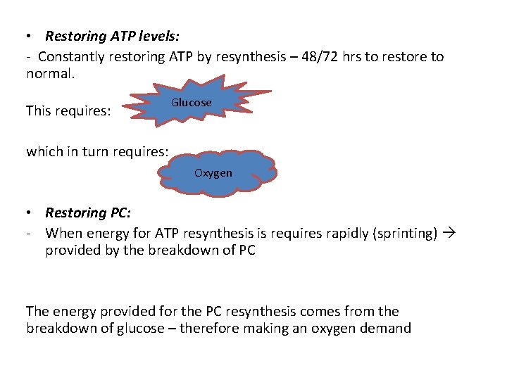  • Restoring ATP levels: - Constantly restoring ATP by resynthesis – 48/72 hrs