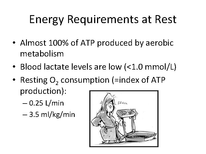 Energy Requirements at Rest • Almost 100% of ATP produced by aerobic metabolism •