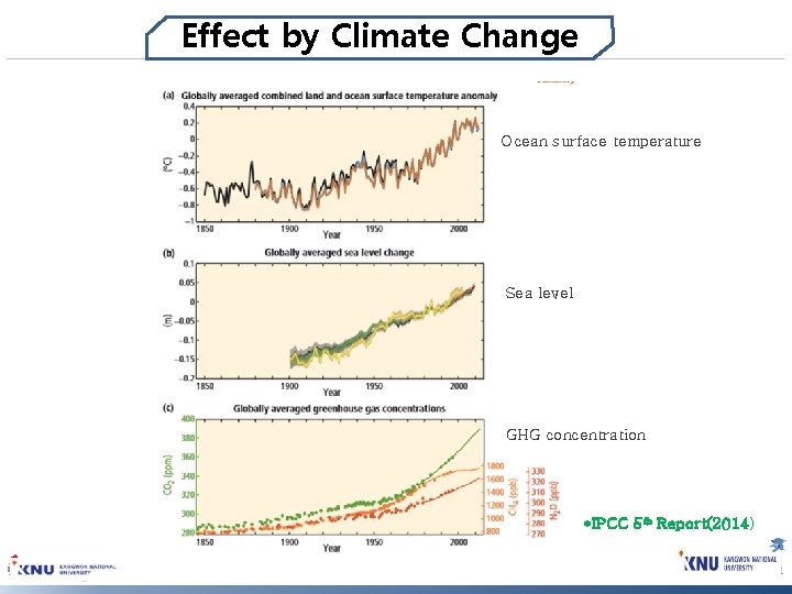 Effect by Climate Change Ocean surface temperature Sea level GHG concentration *IPCC 5 th