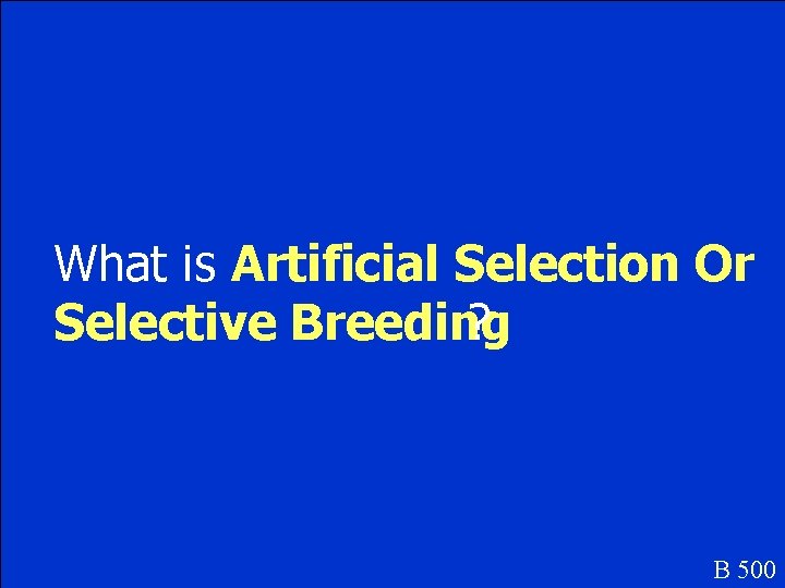 What is Artificial Selection Or Selective Breeding ? B 500 