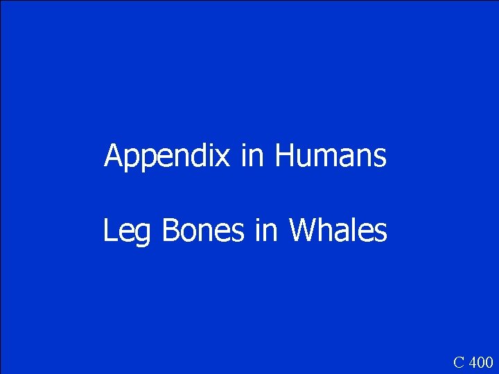 Appendix in Humans Leg Bones in Whales C 400 