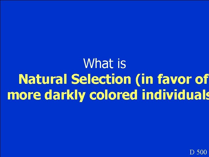 What is Natural Selection (in favor of more darkly colored individuals. D 500 