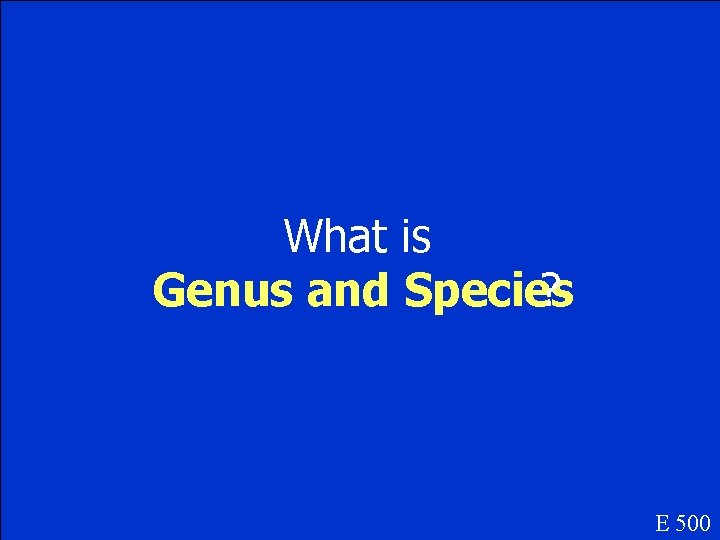 What is Genus and Species ? E 500 
