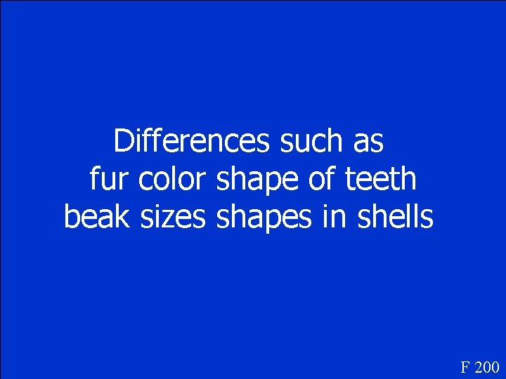 Differences such as fur color shape of teeth beak sizes shapes in shells F