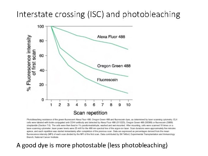 Interstate crossing (ISC) and photobleaching A good dye is more photostable (less photobleaching) 