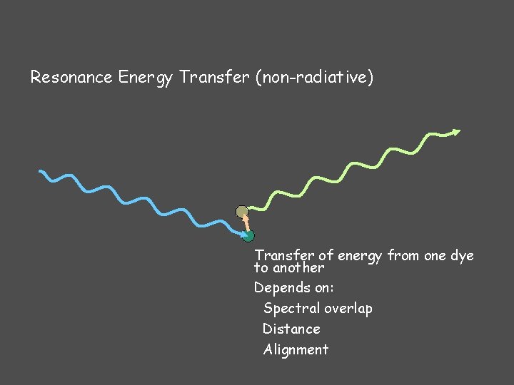 Resonance Energy Transfer (non-radiative) Transfer of energy from one dye to another Depends on: