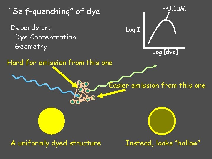 ~0. 1 u. M “Self-quenching” of dye Depends on: Dye Concentration Geometry Log I