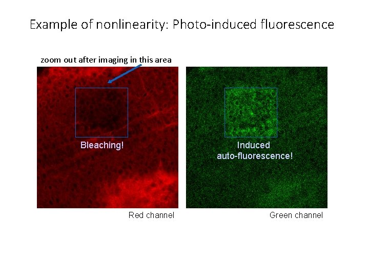 Example of nonlinearity: Photo-induced fluorescence zoom out after imaging in this area Induced auto-fluorescence!