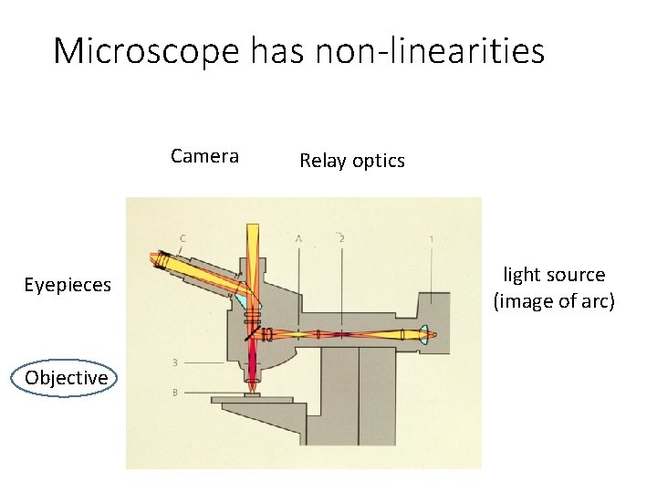 Microscope has non-linearities Camera Eyepieces Objective Relay optics light source (image of arc) 