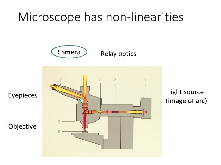Microscope has non-linearities Camera Eyepieces Objective Relay optics light source (image of arc) 