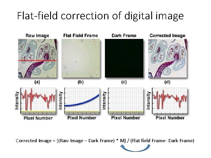 Flat-field correction of digital image Corrected Image = [(Raw Image – Dark Frame) *