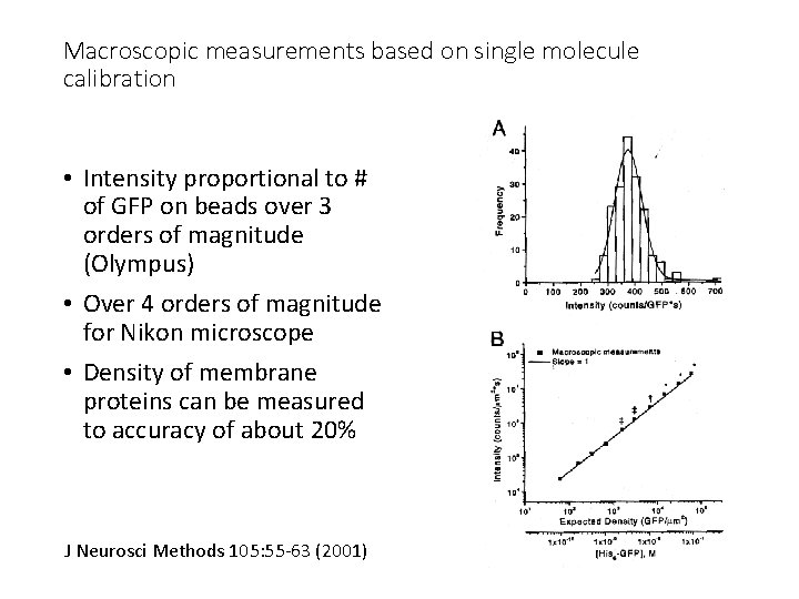 Macroscopic measurements based on single molecule calibration • Intensity proportional to # of GFP