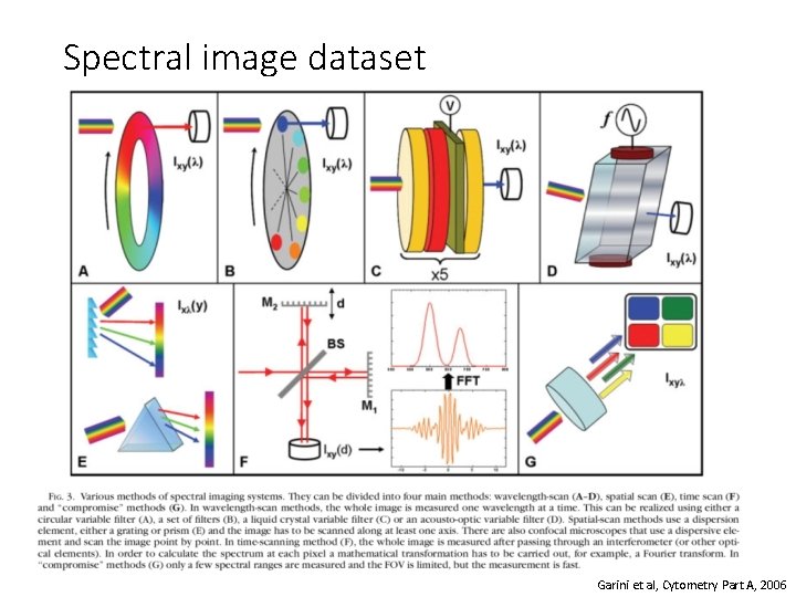Spectral image dataset Garini et al, Cytometry Part A, 2006 