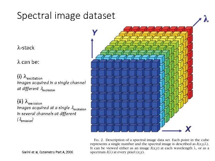 Spectral image dataset -stack can be: (i) excitation images acquired in a single channel