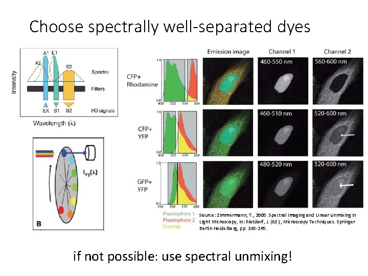 Choose spectrally well-separated dyes Source: Zimmermann, T. , 2005. Spectral Imaging and Linear Unmixing